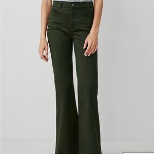 Ann Taylor Hunter Green Flare Jeans